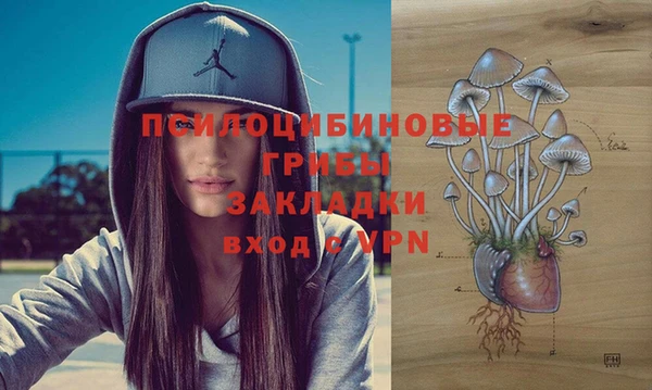 спиды Зеленокумск