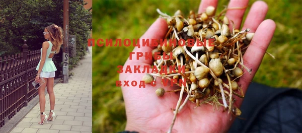 спиды Зеленокумск