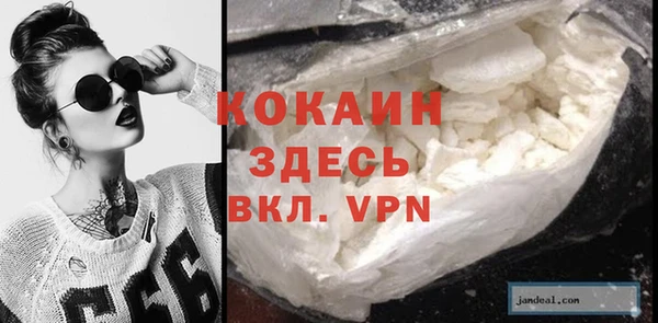 спиды Зеленокумск