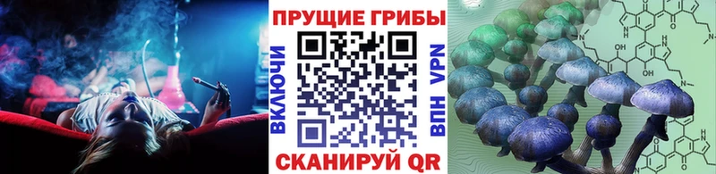 Купить закладки  Выкса  Псилоцибиновые грибы MAGIC MUSHROOMS 